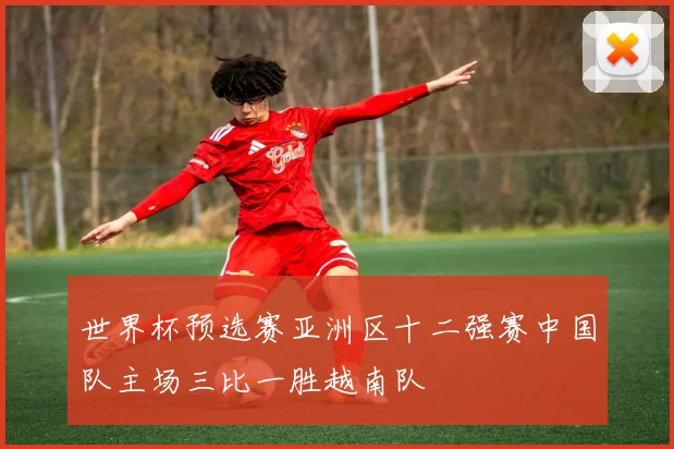 世界杯预选赛亚洲区十二强赛中国队主场三比一胜越南队