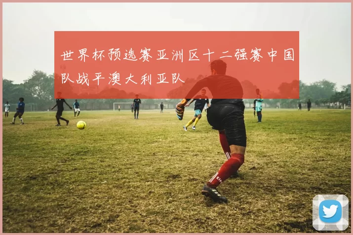 世界杯预选赛亚洲区十二强赛中国队战平澳大利亚队
