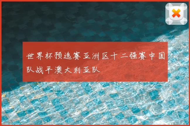 世界杯预选赛亚洲区十二强赛中国队战平澳大利亚队