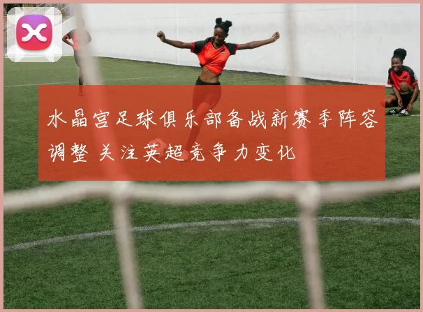水晶宫足球俱乐部备战新赛季阵容调整 关注英超竞争力变化